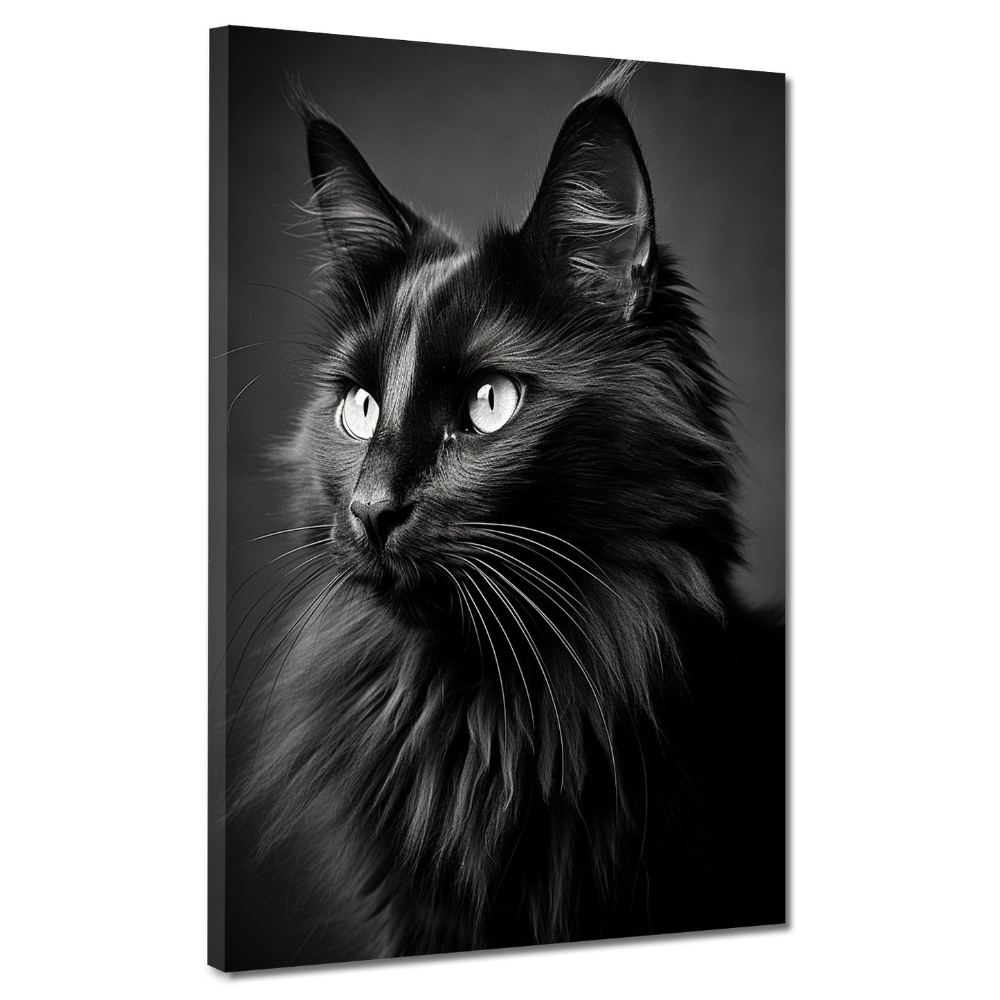 Wandbild Kunstwerk mit schwarze Katze